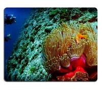 YENDOSTEEN Mouse Pad Gaming Mouse Pad Alfombrilla de ratón de Goma Natural Anemone Anemonefish Divers Conjunto de Material de Goma Natural M0A06915