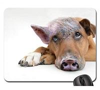 YENDOSTEEN Mouse Pads - Son of A Bitch Inner Pig Perro Perro Cerdo Componer