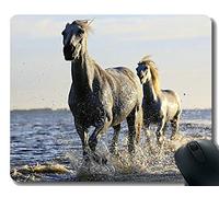 YENDOSTEEN Mousepad de Goma Modificado para requisitos particulares, Agua Clara de la yegua del Cielo Que salpica con la Frontera Cosida