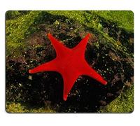 YENDOSTEEN MP1902 Animal Estrella de mar Mar Mar Fauna Marina Arrecife de Coral Rojo Alfombrillas de ratón