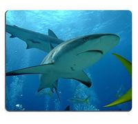 YENDOSTEEN Natural Rubber Gaming Mousepad Un Primer Plano de un tiburón Que Pasa Junto a mí Durante la inmersión (Mouse Pad/Gaming Mouse Pad)