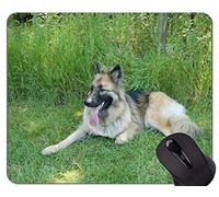 YENDOSTEEN Pastor Alemán Alfombrillas para Ratón Amante de Perro Divertido, Alfombrilla de Ratón para Oficina de Pastor Alemán