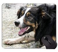 YENDOSTEEN Pastor alemán Amante Divertido del Perro Alfombrillas de ratón, Border Collie Alfombrillas de ratón