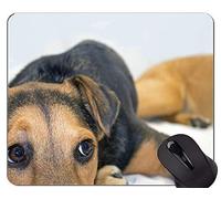 YENDOSTEEN Perro Corriendo Pastor Alemán Animal Picture Mouse Pad, Chow Chow Base de Goma Antideslizante Mousepad