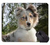 YENDOSTEEN Perro Corriendo Pastor Alemán Animal Picture Mouse Pad, Dog Office Mouse Pad