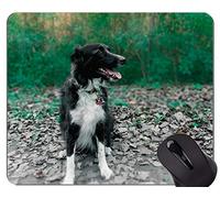 YENDOSTEEN Perro Corriendo Pastor Alemán Animal Picture Mouse Pad, Dog Office Mouse Pad