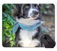 YENDOSTEEN Perro Corriendo Pastor Alemán Animal Picture Mouse Pad, Feliz Personalizado rectángulo Gaming Mouse Pads