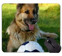 YENDOSTEEN Perro Corriendo Pastor Alemán Animal Picture Mouse Pad, Pastor Alemán Oficina Mouse Pad
