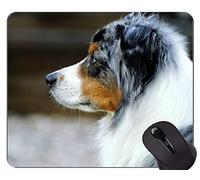 YENDOSTEEN Perro de Pastor Australiano Mousepad, Oficina del Perro Alfombrilla de ratón
