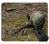 YENDOSTEEN Preciosa Alfombrilla de ratón Antideslizante Comfort Gaming, Alfombrilla de ratón cómoda Hog Wild para Juegos y Oficina - （Pig）