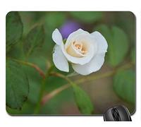 YENDOSTEEN (Precisión marcó) (Alfombrilla de ratón Mouse Gaming Gaming) Cojín de ratón Brote de Rosa Blanca, Alfombrilla de ratón (Alfombrilla de ratón Rose)