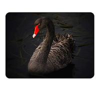 YENDOSTEEN Pretty Black Swan Mousepad -Non Slip Alfombrilla para ratón