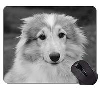 YENDOSTEEN Puppy Dog Gaming Alfombrillas de ratón, Dog Office Alfombrilla de ratón