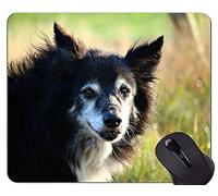 YENDOSTEEN Puppy Dog Gaming Alfombrillas de ratón, Dog Office Alfombrilla de ratón