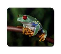 YENDOSTEEN Rana arbórea Grande Mousepad Mouse Pad Gran Idea de Regalo