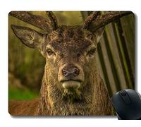 YENDOSTEEN Rectangle Mouse Pads para computadoras Laptop, Deer Animal Richmond - Bordes cosidos