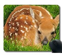 YENDOSTEEN Rectangle Mouse Pads para computadoras Laptop, Meadow Portrait Baby Wild-Stitched Edges