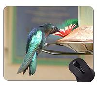 YENDOSTEEN Rectángulo Modificado para requisitos particulares Antideslizante Mousepad de Goma, Flor de pájaro Martinique Mouse Pad