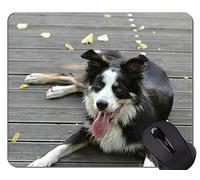 YENDOSTEEN Tappetino per Mouse Australian Shepherd Puppy Mouse Pad, tappetino per Mouse Collie...