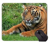 YENDOSTEEN Tigresa y Cub Tiger Mouse Pad, Tiger Office Mouse Pad
