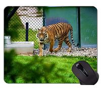 YENDOSTEEN Tigresa y Cub Tiger Mouse Pad, Tiger Rubber Mouse Pad