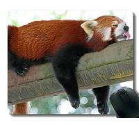 YENDOSTEEN Yanteng Gaming Mouse Pad con Borde Cosido, Fiesta Sleeping Animal Little Panda, Alfombrilla de ratón, Base de Goma Antideslizante Mousepad para computadora portátil, computadora