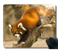 YENDOSTEEN Yanteng Gaming Mouse Pad con Borde Cosido, Kawaii Zoo Little Panda Chicago, Alfombrilla para ratón, Base de Goma Antideslizante para computadora portátil
