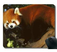 YENDOSTEEN Yanteng Gaming Mouse Pad con Borde Cosido, pingüinos Little Panda desenfoque, Alfombrilla de ratón, Base de Goma Antideslizante, Alfombrilla para computadora portátil