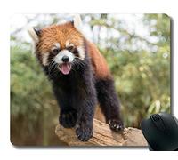 YENDOSTEEN Yanteng Gaming Mouse Pad con Borde Cosido, Pulgar Little Panda, Alfombrilla para ratón, Base de Goma Antideslizante para computadora portátil, computadora