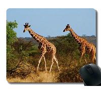 YENDOSTEEN Yanteng Gaming Mouse Pad Custom, Sunset Jirafa Animal Mouse Pad Stitched Border