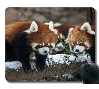 YENDOSTEEN Yanteng Mouse Pad con Borde Cosido, Botas Zoo Little Panda Chicago, Alfombrilla para ratón, Base de Goma Antideslizante, Alfombrilla para computadora portátil, computadora