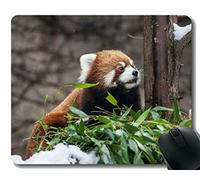 YENDOSTEEN Yanteng Mouse Pad con Borde Cosido, Gatitos Zoo Little Panda Chicago, Alfombrilla para ratón, Base de Goma Antideslizante, Alfombrilla para computadora portátil, computadora