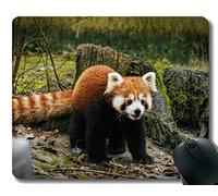 YENDOSTEEN Yanteng Mouse Pad con Borde Cosido, Papelera Stump Tail Little Panda, Alfombrilla para ratón, Base de Goma Antideslizante para computadora portátil, computadora