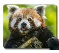 YENDOSTEEN Yanteng Mouse Pad con Borde Cosido, Pulgar Animal Cute Little Panda, Mouse Mat, Base de Goma Antideslizante, Alfombrilla para computadora portátil