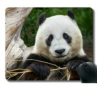 YENDOSTEEN Yanteng Mouse Pad con Stitched Edge, Todos Miran a la Fauna Gigante Panda, Alfombrilla para ratón, Base de Goma Antideslizante, Base para computadora portátil, Computadora