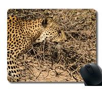 YENDOSTEEN Yanteng Mouse Pad, Safari Leopard Africa Mousepad Antideslizante de Goma