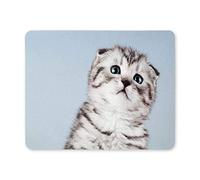 YENDOSTEEN Yanteng Mouse Pads Fluffy Gray Beautiful Kitten Mouse Pad
