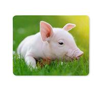 YENDOSTEEN Yanteng Mouse Pads Funny Young Pig on a Spring Green Grass Animal Lindo rectángulo Antideslizante de Goma Mousepad, Gaming Mouse Pad Mouse Pad para Oficina Hogar Mujer Hombre Empleado Jefe