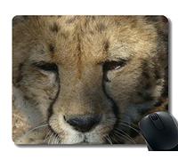 YENDOSTEEN Yanteng personalizó los Cojines de ratón, Caucho Antideslizante del Safari de Leopard Sudáfrica África