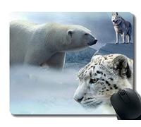 YENDOSTEEN Yanteng Rectangle Mouse Pads para computadoras Laptop, White Bear Husky Leopard Ice Mousepad Antideslizante
