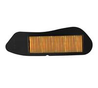 Yerbay Filtro de aire para Yamaha VP 250 X-City 2007-2013/ VP 125 X-City 2007-2015/ YP 125 R X-Max 2006-2019/ YP 250 R X-Max 2006-2016