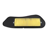 Yerbay Filtro de aire para Yamaha X-MAX 125 2006-2017 / X-MAX 250 2005-2016/ X-City 125 2008-2012/ X-City 250 2007-2015 para MBK SKYCRUISER 125 2006-2012/ EVOLIS 250 2014-2016