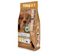 YERBERO - Digestive Comida Hipoalergénica para Perros 10Kg - Pienso Superpremium de Pollo y Arroz Que Facilita la Digestión - Pienso Low Grain con Aceite de Salmón y Omega 3 - Sin Gluten