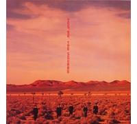 Yes, No (Ltd. Miniatuer Paper