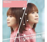 Yes/No/T