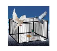 YFAURNDE Jaula for Palomas Jaula for Palomas con diseño a Prueba de Escape, Agricultura Protección de Cultivos Prevención de plagas de Aves Aves, Granjas, huertos, Jardines(Black,90 * 60cm)