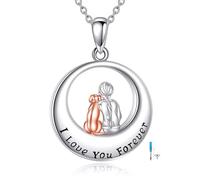 YFN Collar de urna de perro de plata de ley 925 para mujer, colgante de cenizas de mascotas con cadena de 18 + 2 pulgadas, regalo para la pérdida de un amigo peludo querido
