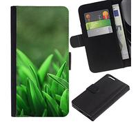 YGBWAOV Exprimidor de Frutas Giratorio de Peluche, Divertido Exprimidor Giratorio con Cordón, de Peluche, Mochila, Decoración, Regalo, C