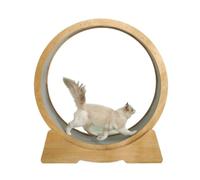 YGDYFDC Juguetes para Gatos Cerradura de Seguridad for Cinta de Correr Cat, Pista silenciosa con Bucle Circular de Carga Estable, cuidadosamente Pulida Rueda de Ejercicio para Gatos(M)