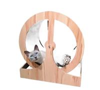 YGDYFDC Juguetes para Gatos Cinta de Correr for Gatos, Ejercicio for Correr, Juguete, Juguete de Madera for Gatos, Rueda for Correr Rueda de Ejercicio para Gatos